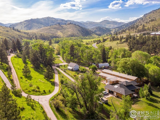drone / aerial view of mountains and a heavily wooded area
