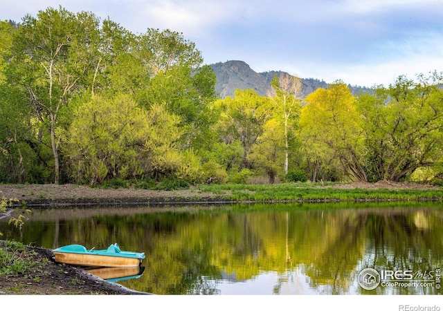 water view featuring a forest and a mountain backdrop
