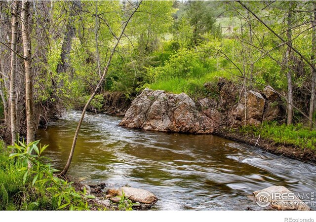 water view with a heavily wooded area