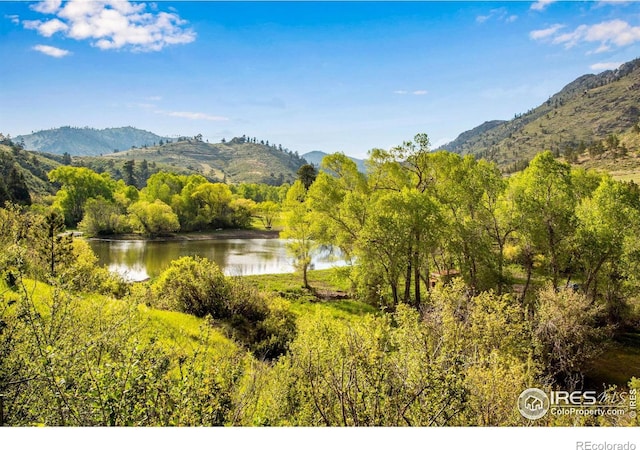 view of mountain backdrop featuring a large body of water and a heavily wooded area