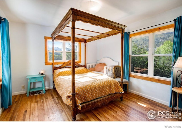 bedroom featuring hardwood / wood-style flooring, multiple windows, and baseboards