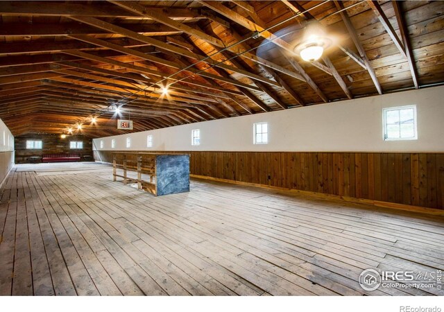 basement with hardwood / wood-style flooring, wooden walls, a wainscoted wall, and healthy amount of natural light