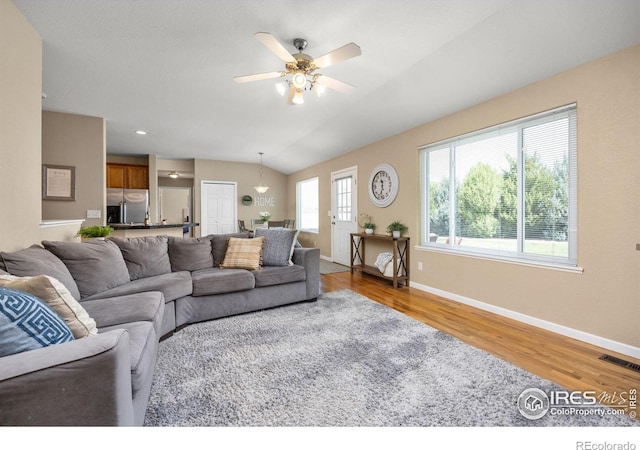 316 Whitney Bay, Windsor, CO 80550 - living area with wood finished floors, baseboards, a ceiling fan, and vaulted ceiling