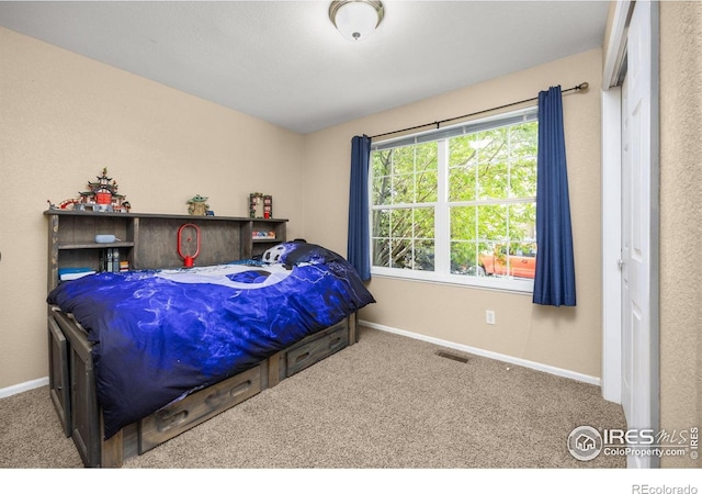 316 Whitney Bay, Windsor, CO 80550 - bedroom with carpet and baseboards