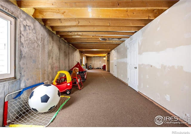 316 Whitney Bay, Windsor, CO 80550 - below grade area with plenty of natural light