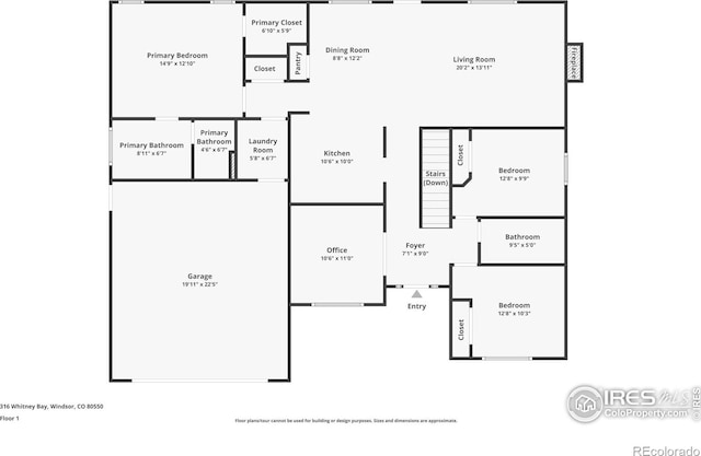 316 Whitney Bay, Windsor, CO 80550 - floor plan / room layout