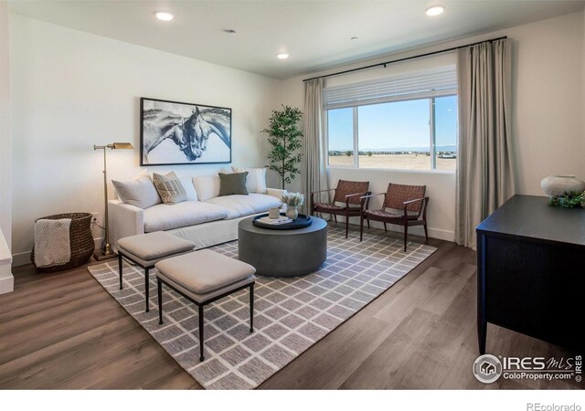 living area featuring wood finished floors, baseboards, and recessed lighting