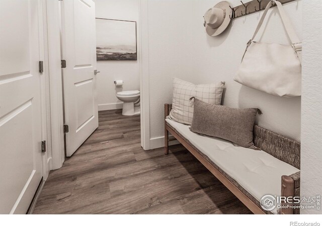 mudroom featuring wood finished floors and baseboards