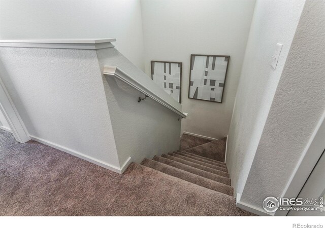 stairway featuring carpet flooring and a textured wall