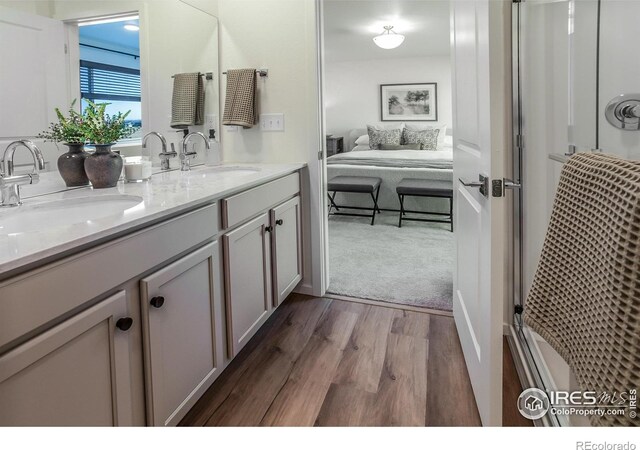 bathroom featuring wood finished floors and double vanity