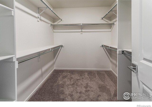 walk in closet with carpet