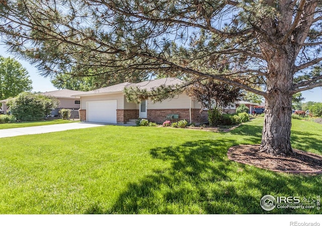 205 Maple Ct, Windsor, CO 80550 - photo 4