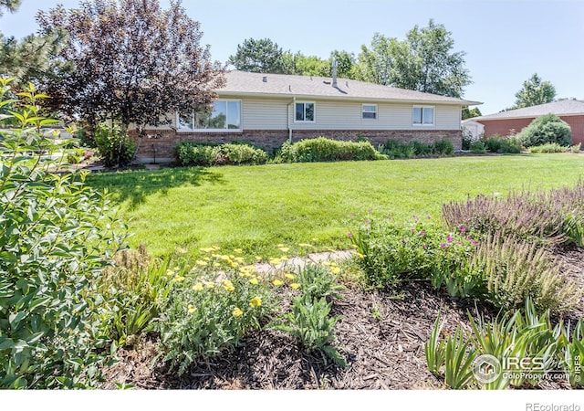 205 Maple Ct, Windsor, CO 80550 - photo 5