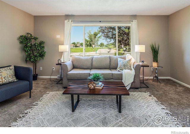 205 Maple Ct, Windsor, CO 80550 - photo 6