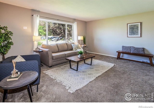 205 Maple Ct, Windsor, CO 80550 - photo 7