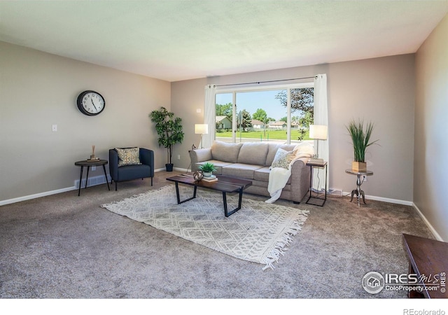205 Maple Ct, Windsor, CO 80550 - photo 8