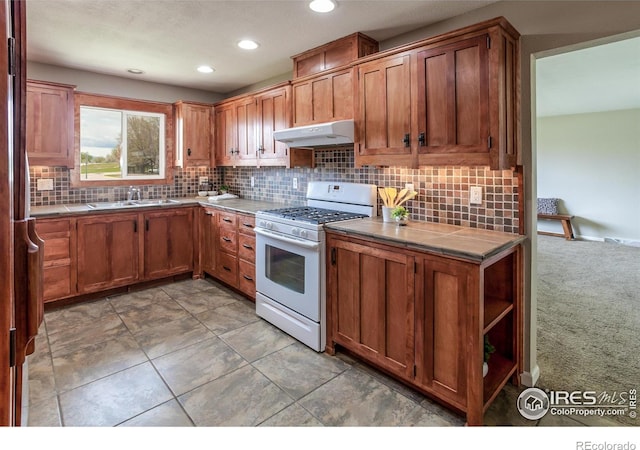 205 Maple Ct, Windsor, CO 80550 - photo 9