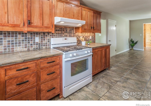 205 Maple Ct, Windsor, CO 80550 - photo 10