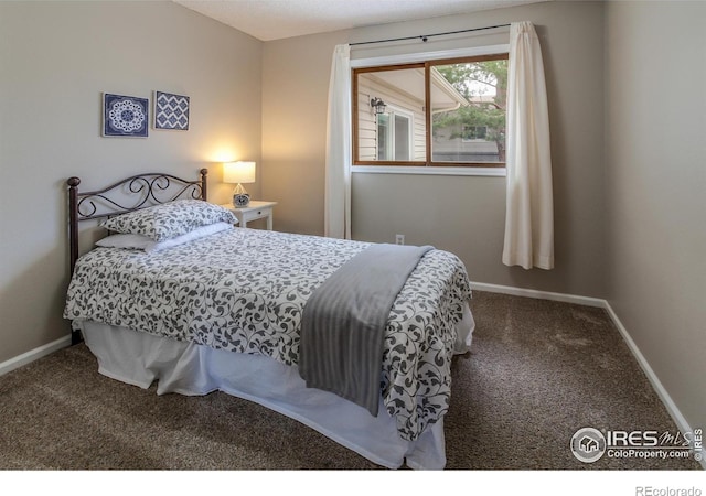 205 Maple Ct, Windsor, CO 80550 - photo 25