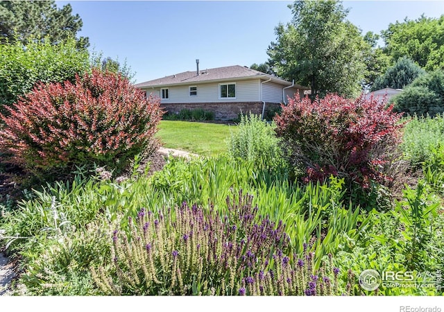 205 Maple Ct, Windsor, CO 80550 - photo 37