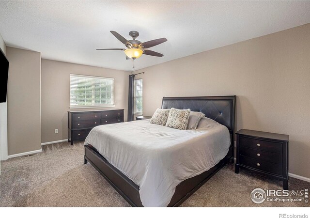 1204 Ptarmigan Dr, Longmont, CO 80504 - photo 26
