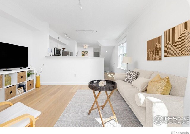 living room with track lighting and light wood-style floors