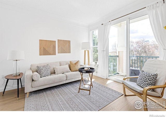 living room featuring light wood-style flooring and crown molding