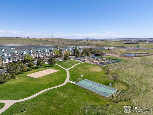 bird's eye view