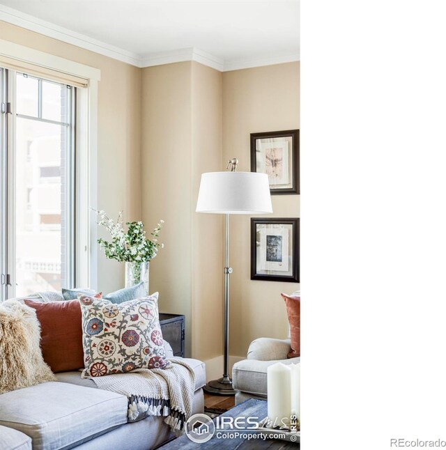 living room featuring crown molding