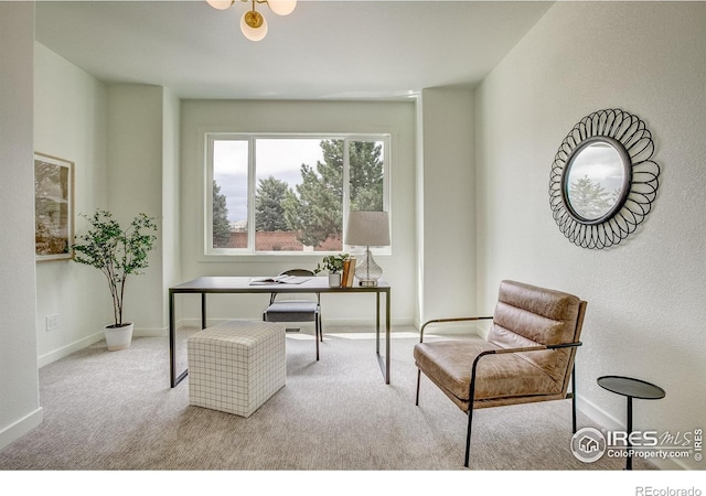 5304 Vardon Way, Fort Collins, CO 80528 - office space featuring carpet and baseboards