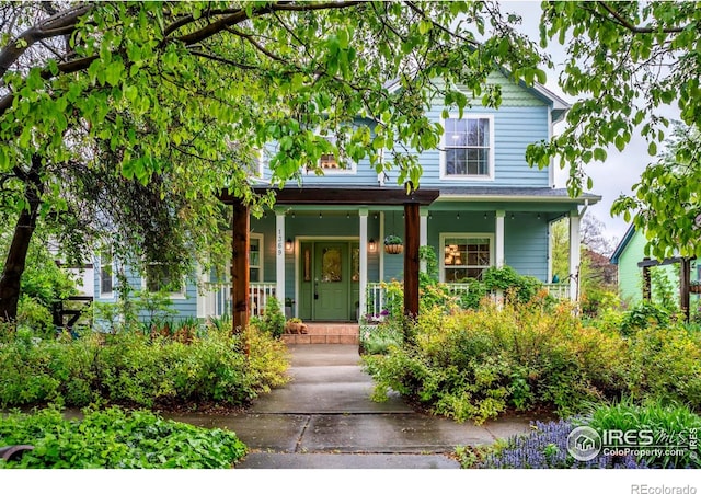 1369 Padfield Pl, Erie, CO 80516 - view of front facade with covered porch