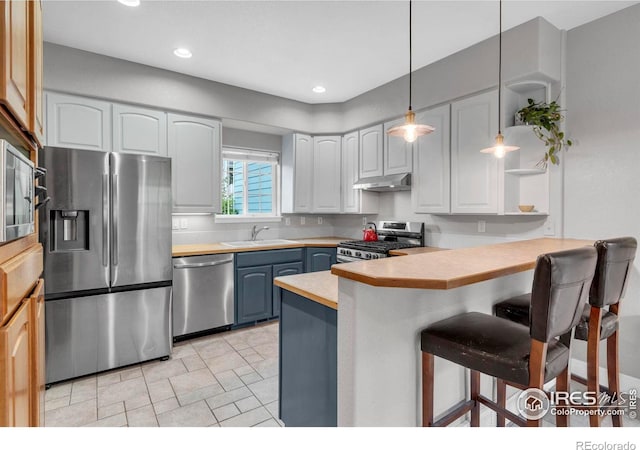 1369 Padfield Pl, Erie, CO 80516 - kitchen featuring appliances with stainless steel finishes, under cabinet range hood, a sink, a peninsula, and a breakfast bar area