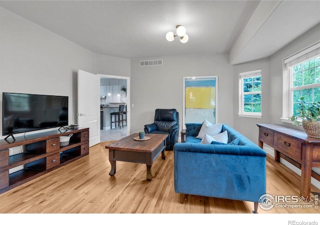 1369 Padfield Pl, Erie, CO 80516 - living area featuring light wood finished floors