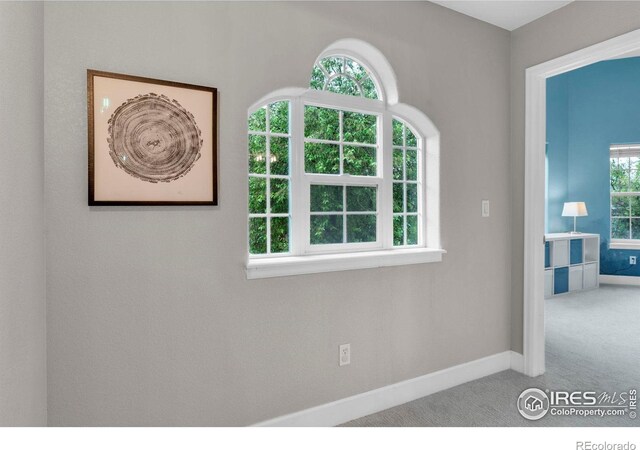 1369 Padfield Pl, Erie, CO 80516 - spare room featuring baseboards and carpet floors