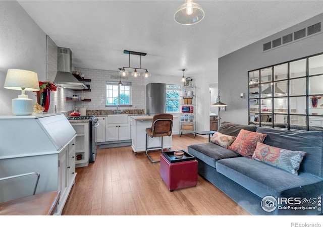 1369 Padfield Pl, Erie, CO 80516 - living area featuring light wood-style flooring