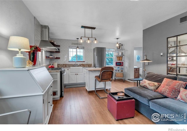 1369 Padfield Pl, Erie, CO 80516 - living area with light wood-style flooring