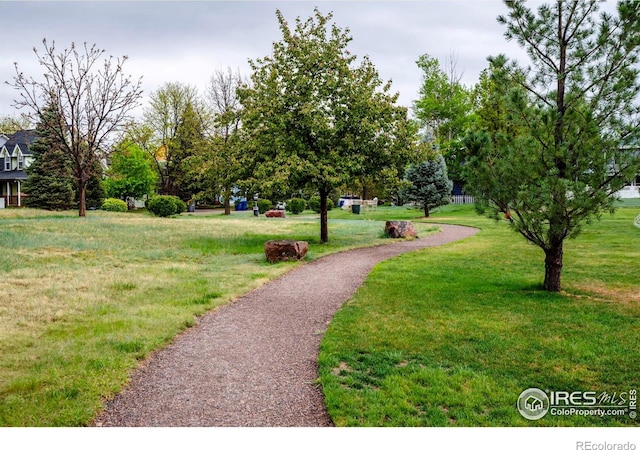 1369 Padfield Pl, Erie, CO 80516 - view of community featuring a lawn