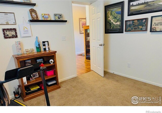 569 Jackson St, Lafayette, CO 80026 - hallway featuring carpet floors and baseboards