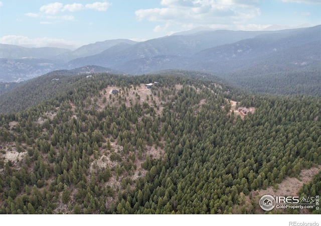 2091 Magnolia Dr, Nederland, CO 80466