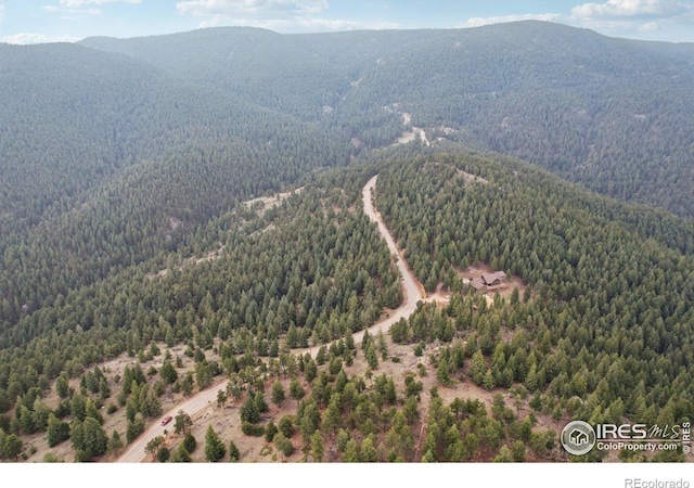 2091 Magnolia Dr, Nederland, CO 80466
