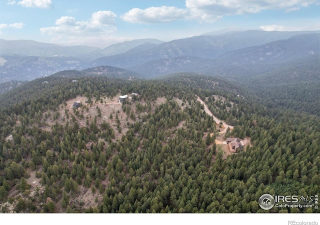 2091 Magnolia Dr, Nederland, CO 80466