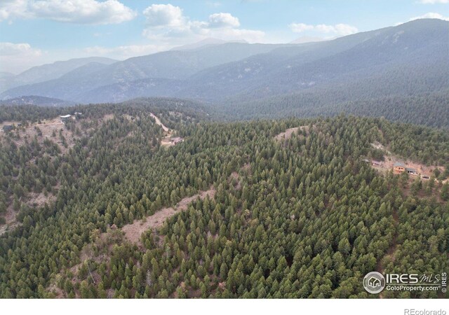 2091 Magnolia Dr, Nederland, CO 80466