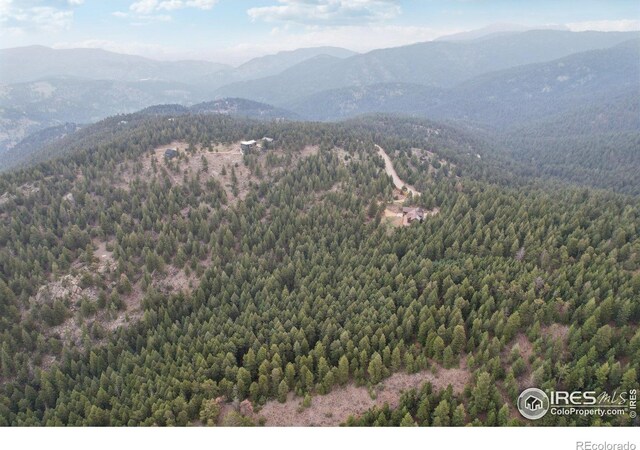 2091 Magnolia Dr, Nederland, CO 80466