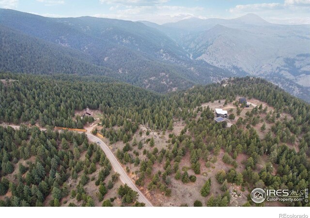 2200 Magnolia Dr, Nederland, CO 80466