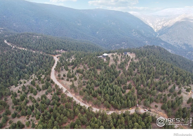 2200 Magnolia Dr, Nederland, CO 80466