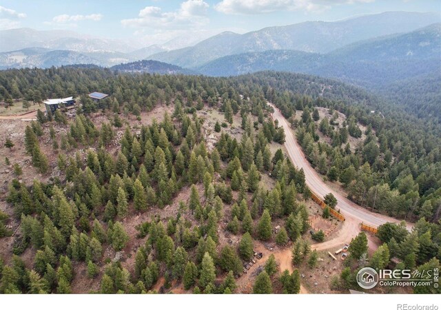 2200 Magnolia Dr, Nederland, CO 80466