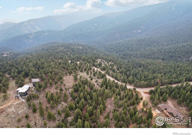 2200 Magnolia Dr, Nederland, CO 80466