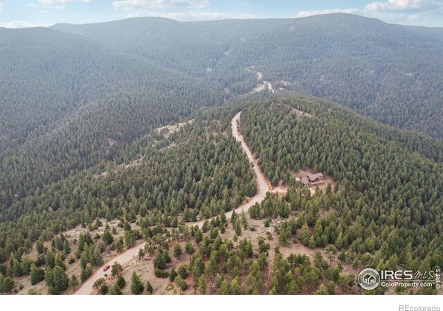 2200 Magnolia Dr, Nederland, CO 80466