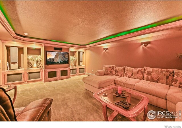 14531 Country Hills Dr, Brighton, CO 80601 - cinema featuring a textured ceiling, carpet flooring, and a tray ceiling