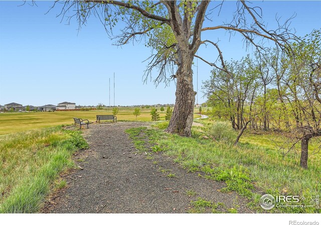 view of property's community